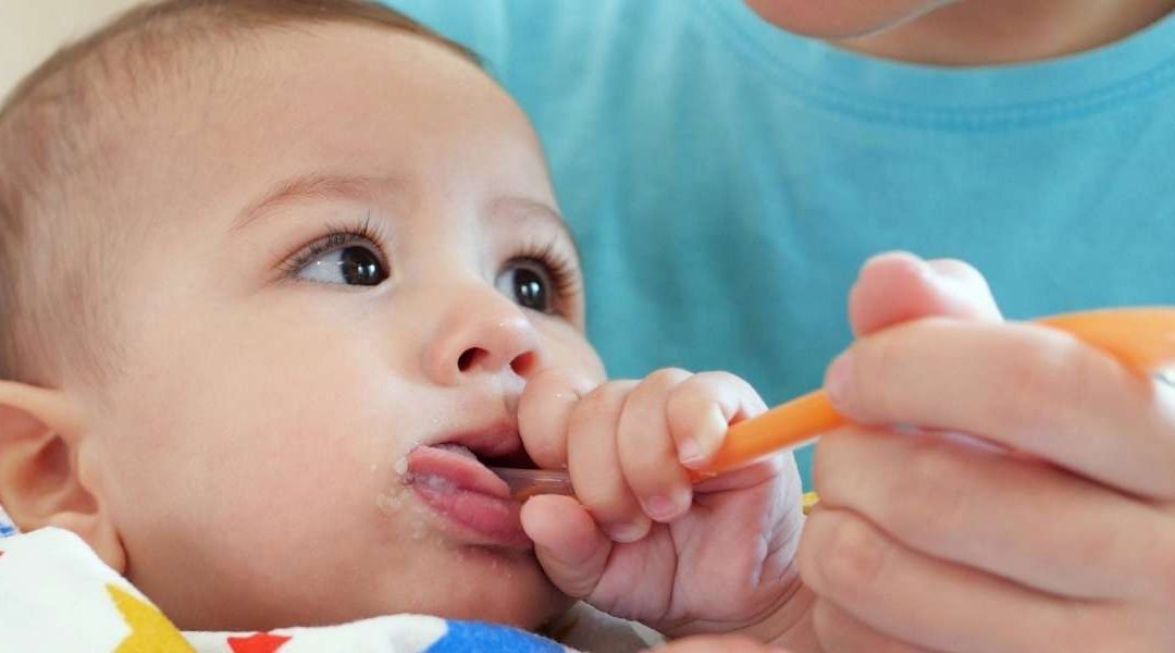 Comprendre la diversification alimentaire pour accompagner son bébé