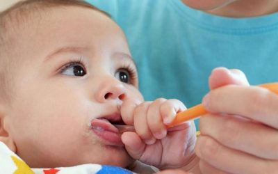 Comprendre la diversification alimentaire pour accompagner son bébé