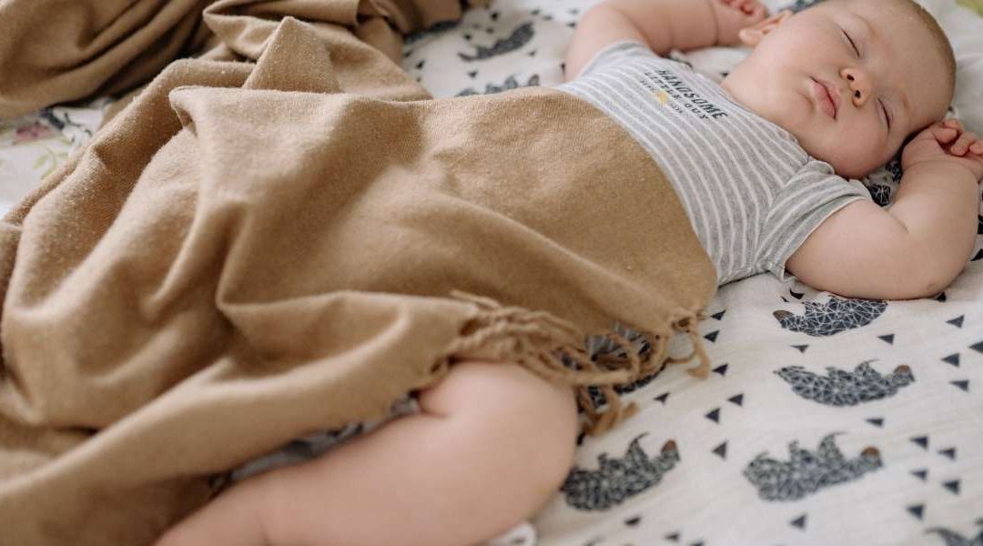 Comment proposer des protéines adaptées dès les premiers repas