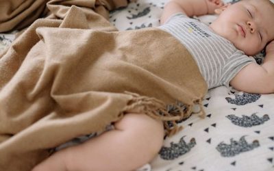 Comment proposer des protéines adaptées dès les premiers repas