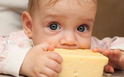 Introduire le fromage dans l&rsquo;alimentation de bébé en toute sécurité