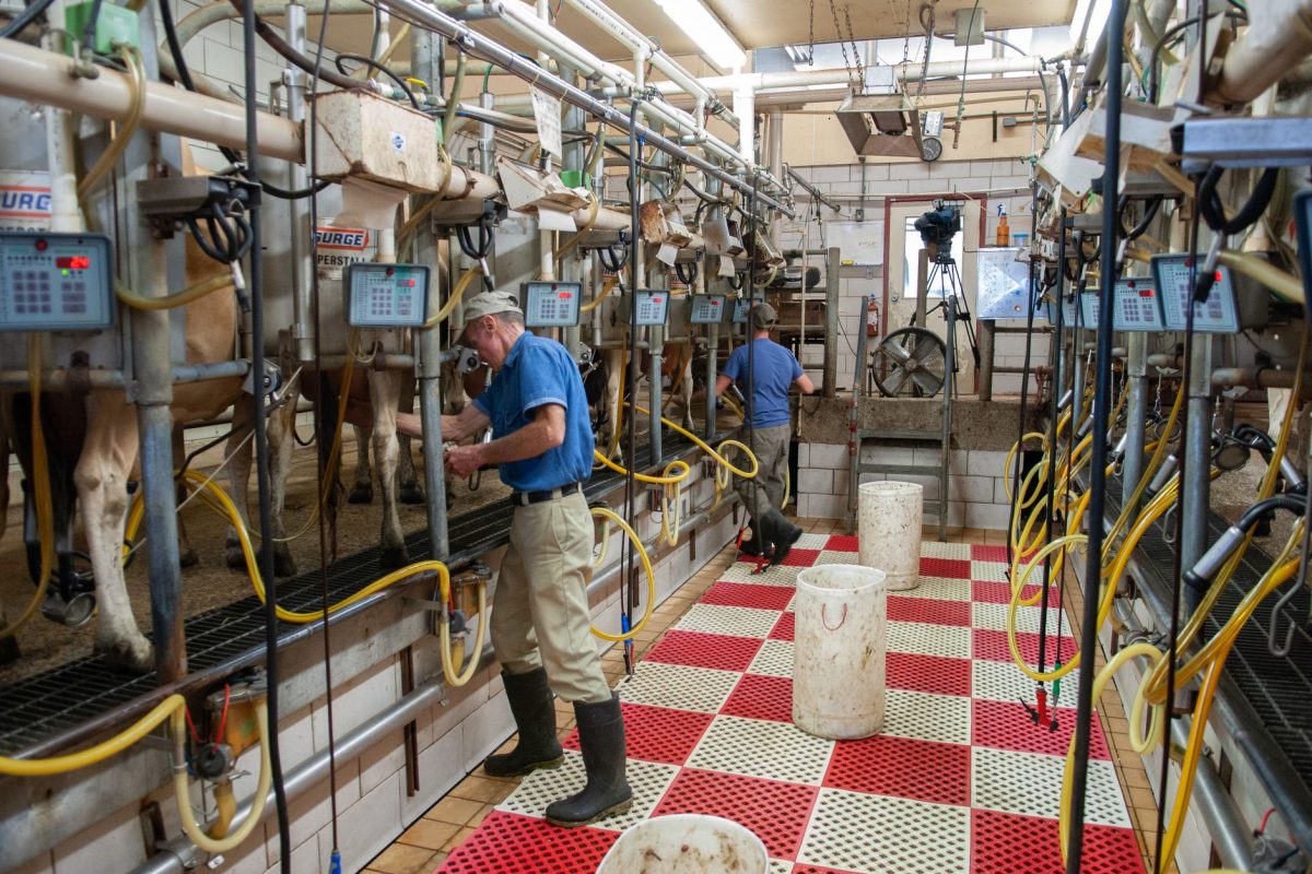 Lait infantile : une révolution en marche avec la nouvelle usine de Boumerdès