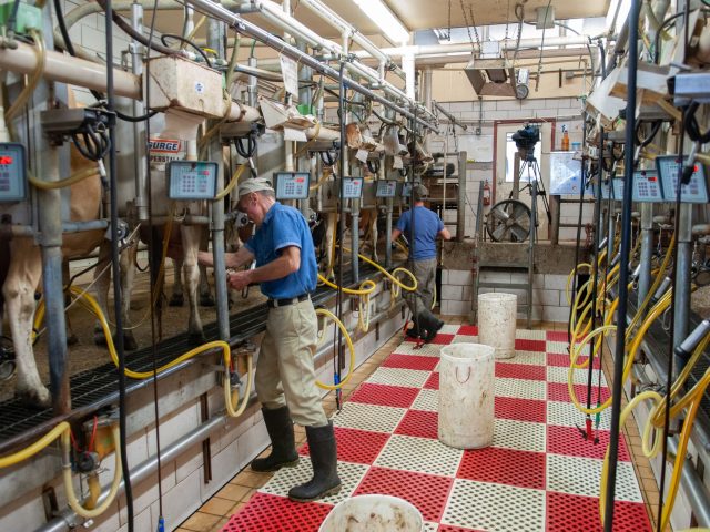 Lait infantile : une révolution en marche avec la nouvelle usine de Boumerdès